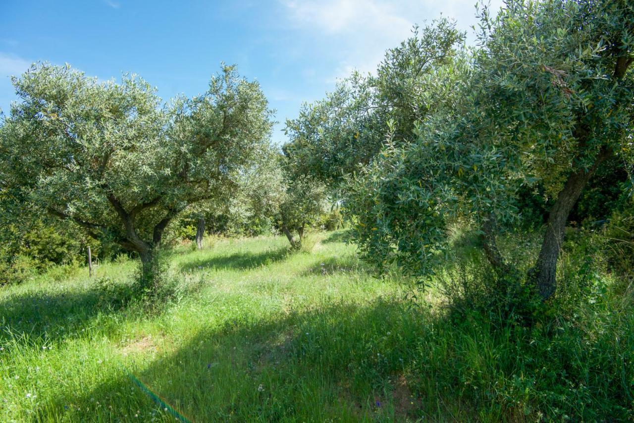 Villa Avaton Farm Ouranoupoli Exterior foto